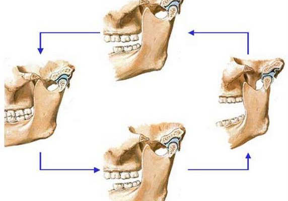 Gnatologia e postura tra scienza e credenza